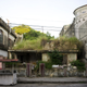Image for article titled Abandoned Buildings In Tampico, Mexico Are Filled With Trees